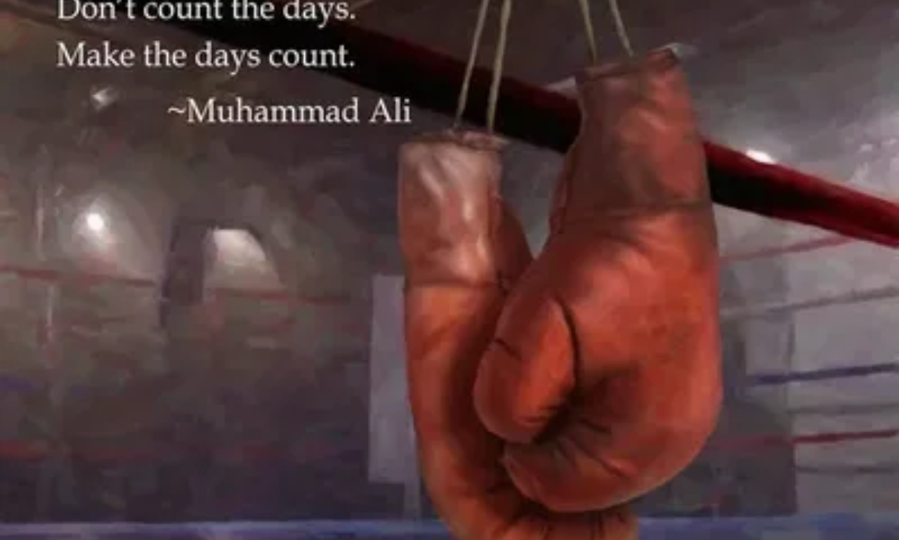 Collection of Inspirational Boxing Quotes about strength, discipline, and resilience